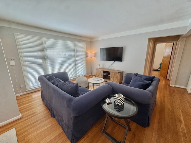 living room featuring crown molding and light wood-type flooring