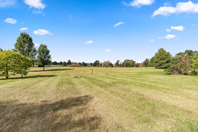 view of yard with a rural view