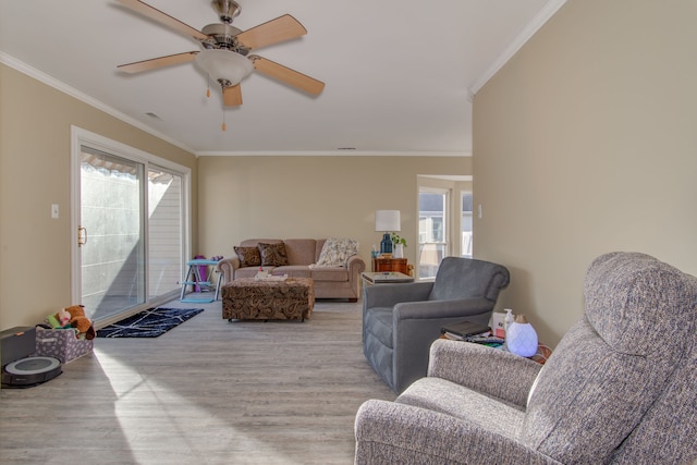 living room featuring ceiling fan, ornamental molding, and light hardwood / wood-style floors