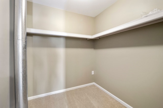 spacious closet with carpet floors