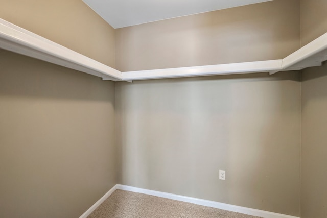 spacious closet with carpet flooring