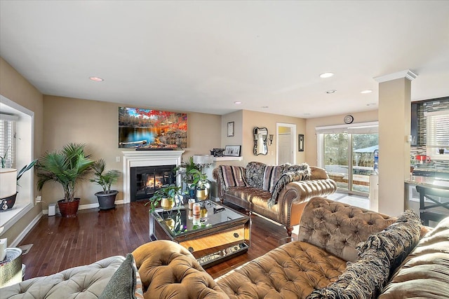 living room with dark hardwood / wood-style floors