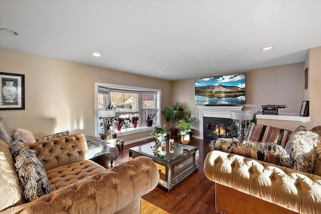 living room with dark hardwood / wood-style flooring