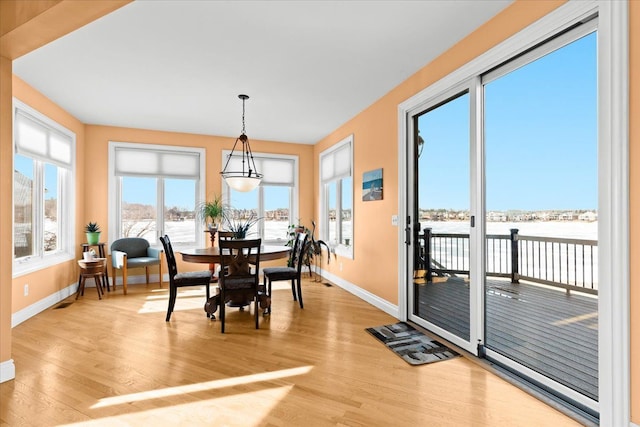 dining space with a water view and light hardwood / wood-style floors