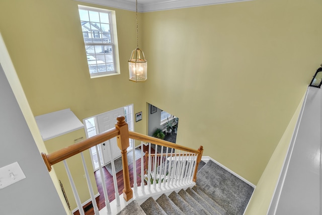 stairway featuring carpet flooring