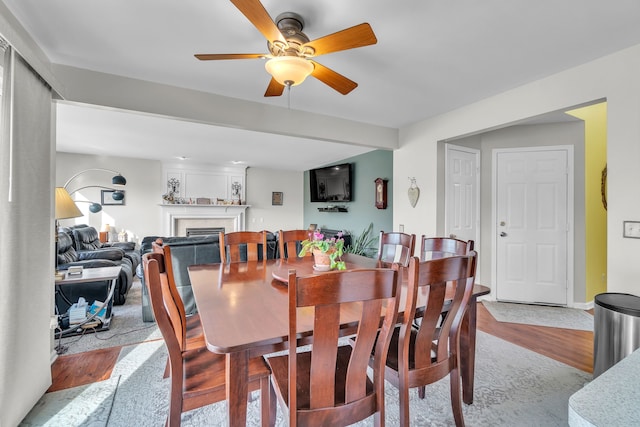 dining area with ceiling fan and light hardwood / wood-style flooring