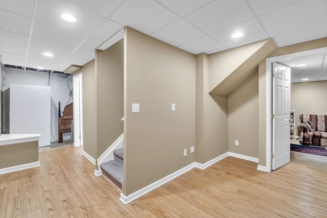 basement featuring light hardwood / wood-style flooring and a drop ceiling