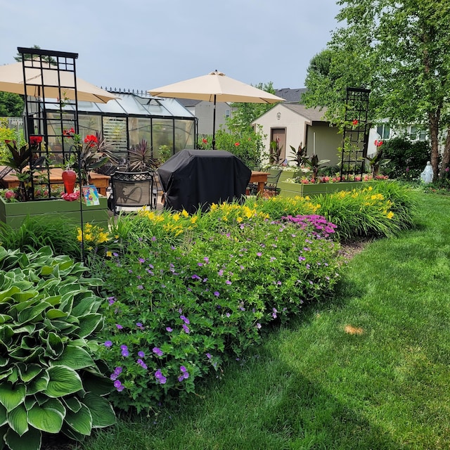 view of yard featuring an outbuilding