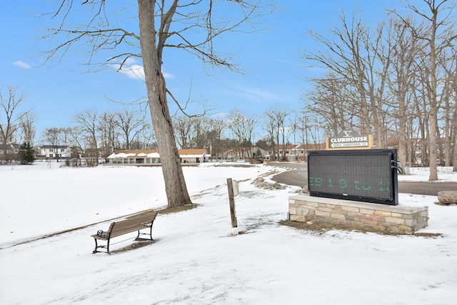 view of yard covered in snow