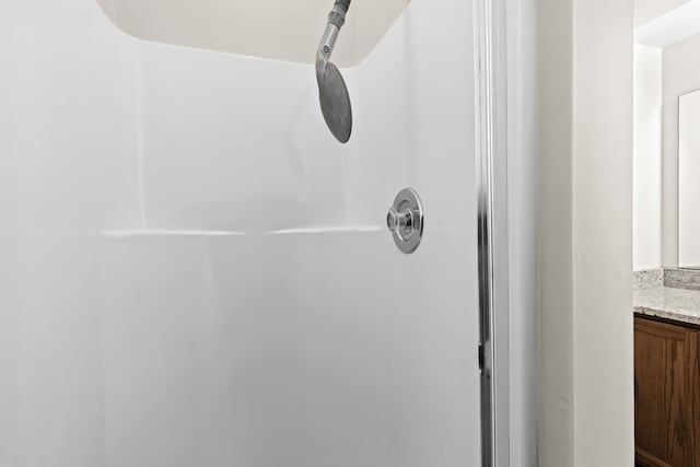 interior details featuring vanity and a shower