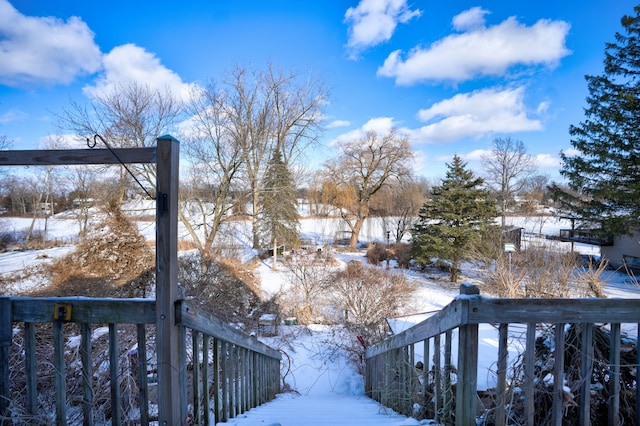 view of yard covered in snow