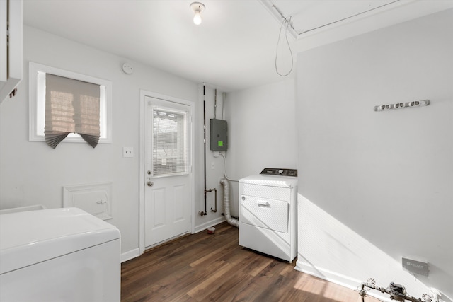 laundry room featuring washer and clothes dryer, electric panel, and dark hardwood / wood-style flooring