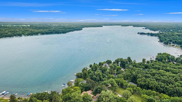 drone / aerial view with a water view