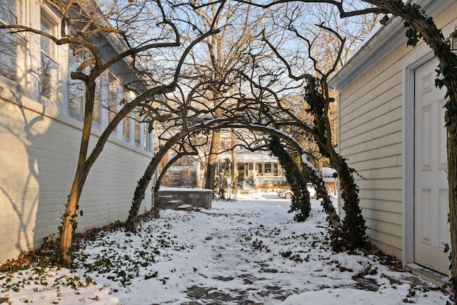 view of yard covered in snow