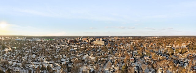 bird's eye view