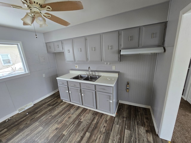 kitchen featuring ceiling fan, sink, gray cabinetry, and dark hardwood / wood-style floors