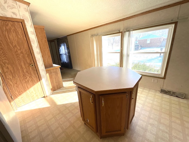 kitchen with ornamental molding and a kitchen island