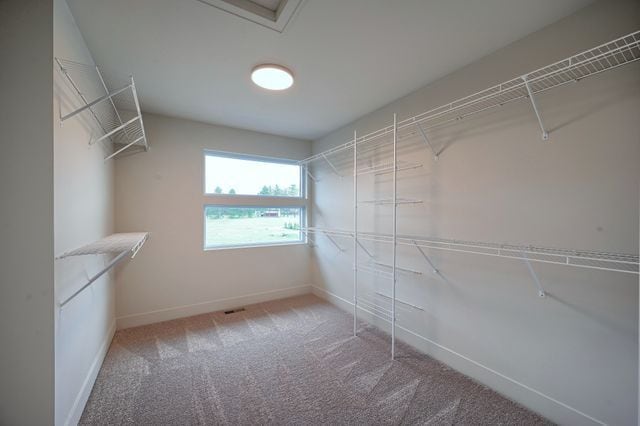 spacious closet featuring carpet floors