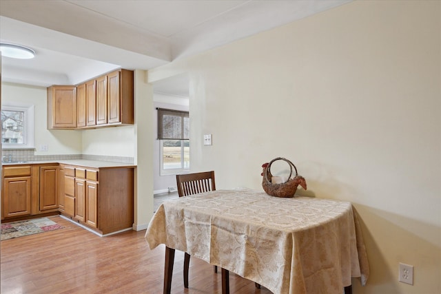 dining room with light hardwood / wood-style floors