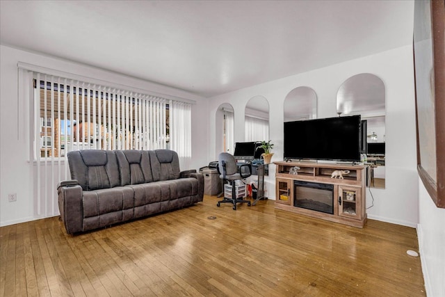 living room featuring wood-type flooring