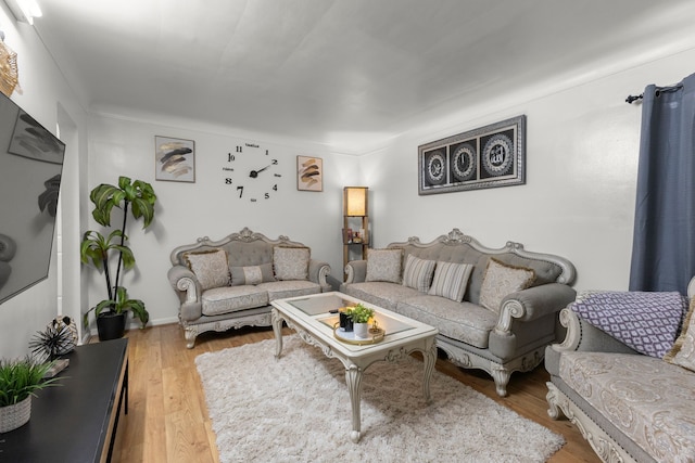 living room featuring light hardwood / wood-style floors