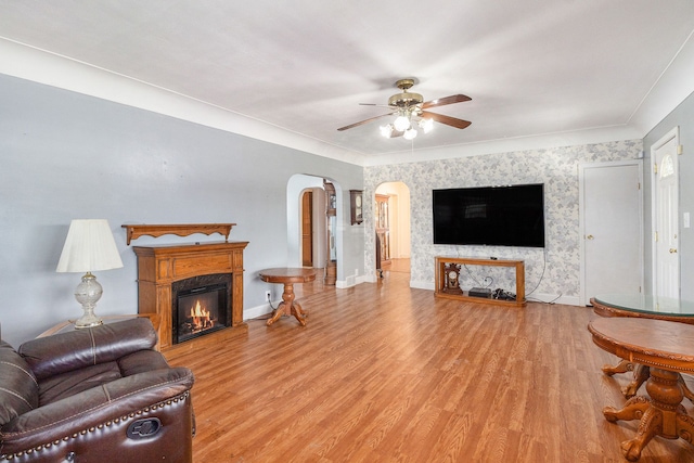 living room with ceiling fan, crown molding, and light hardwood / wood-style floors