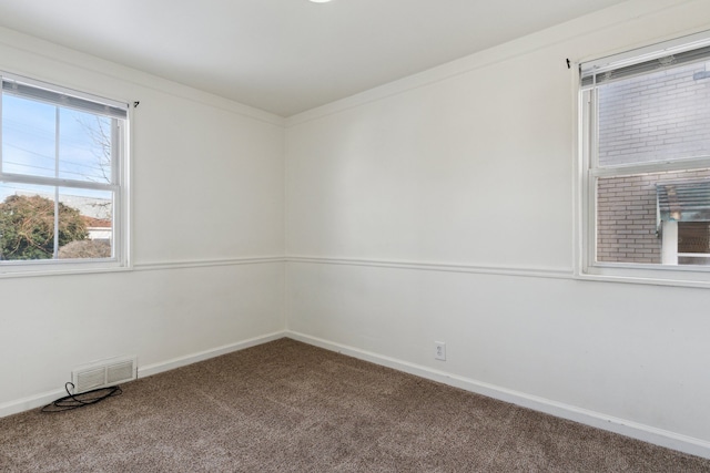 spare room with ornamental molding and carpet flooring