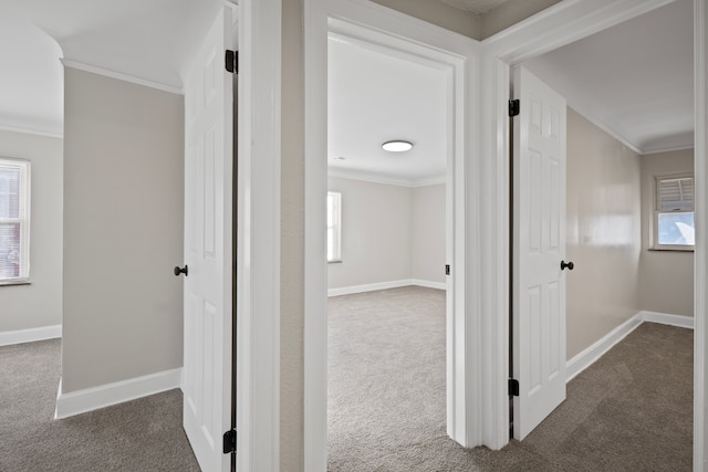 corridor featuring plenty of natural light, ornamental molding, and dark colored carpet