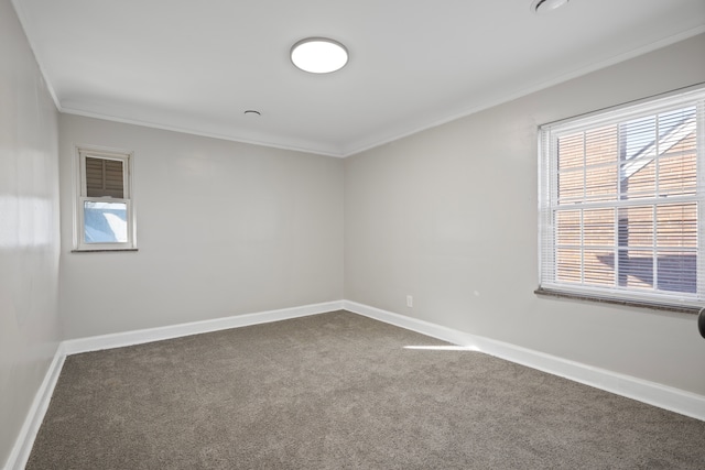 spare room with dark colored carpet and ornamental molding