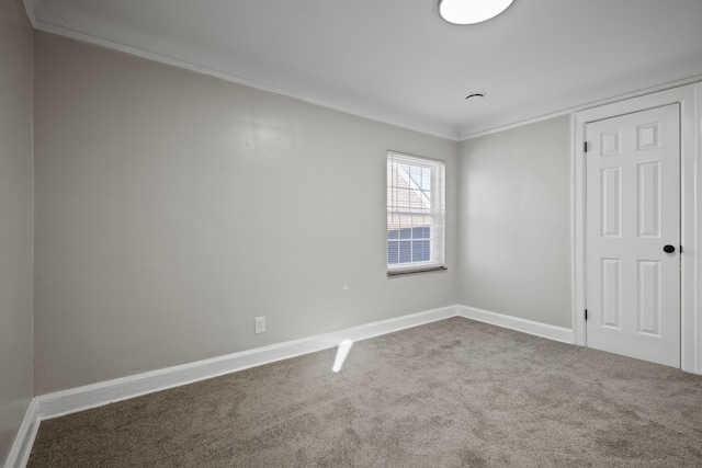 spare room with crown molding and carpet