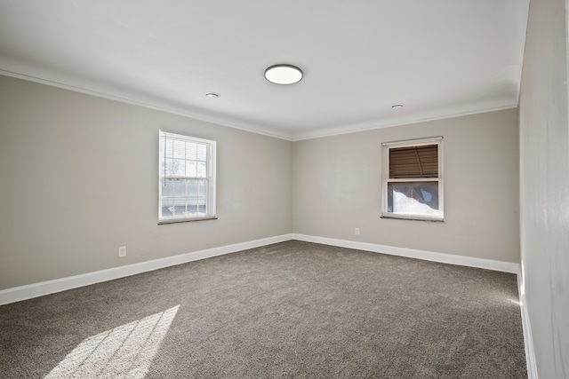 spare room with ornamental molding and carpet