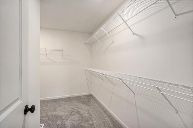 spacious closet featuring carpet flooring