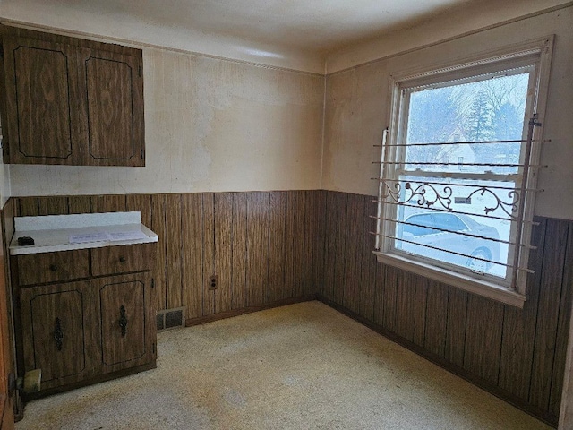 interior space with a wealth of natural light and wood walls