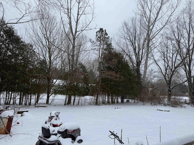 view of snowy yard