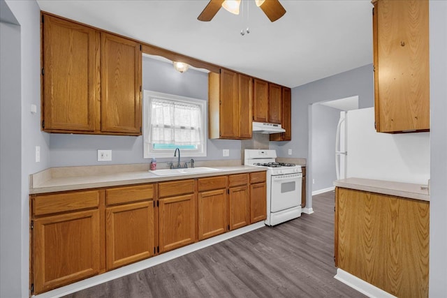 kitchen with ceiling fan, white appliances, sink, and hardwood / wood-style floors