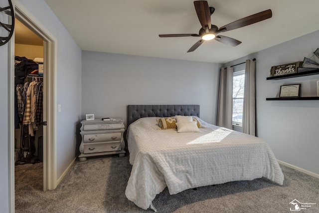 carpeted bedroom featuring a walk in closet, ceiling fan, and a closet