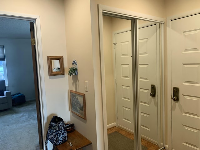 doorway to outside featuring carpet flooring