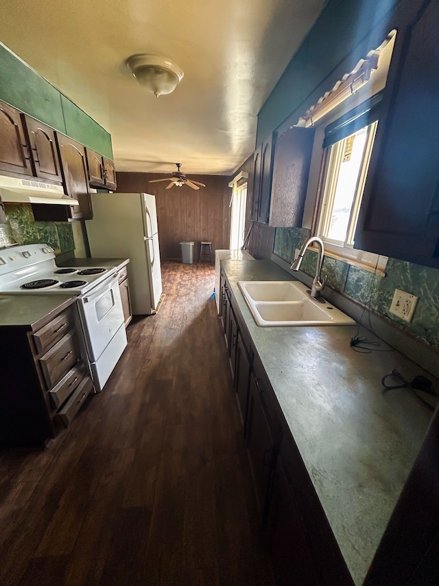 kitchen with sink, white appliances, ceiling fan, dark brown cabinetry, and dark hardwood / wood-style flooring