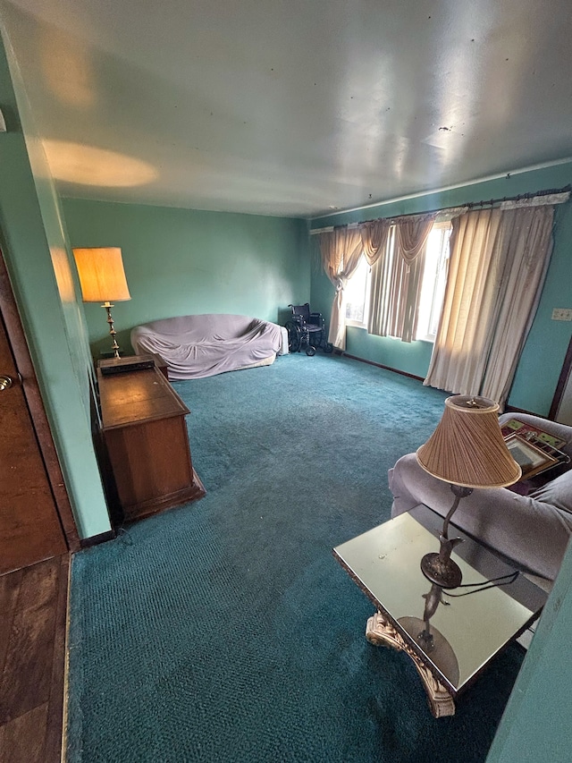 sitting room featuring carpet flooring