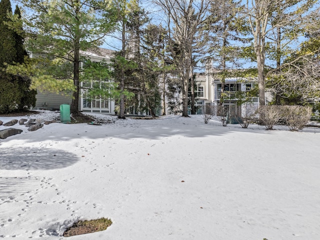 view of yard covered in snow