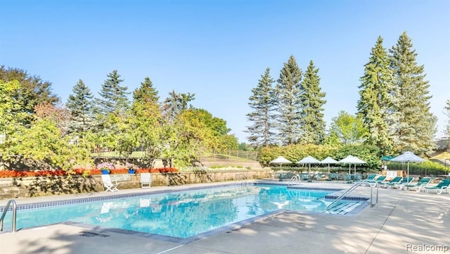 view of swimming pool featuring a patio