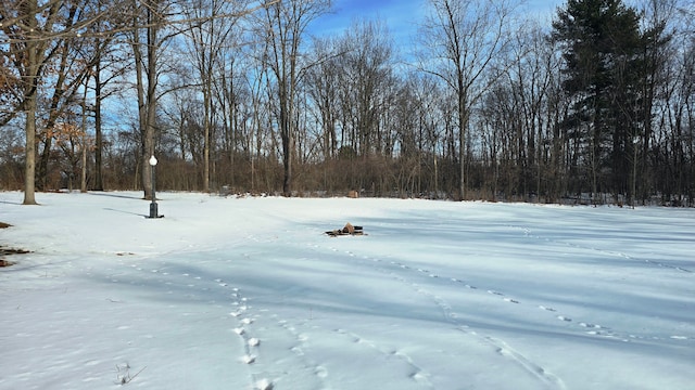 view of yard covered in snow