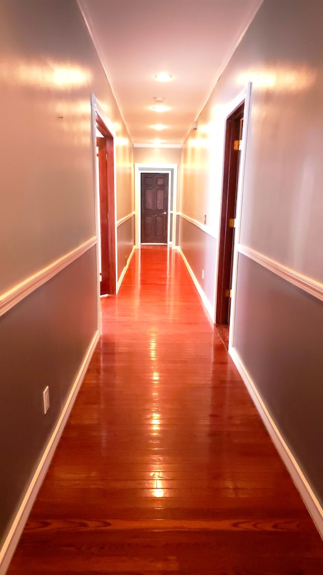 hallway with hardwood / wood-style floors