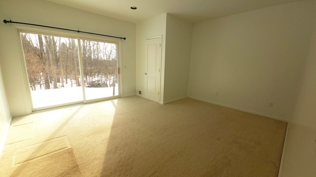 spare room with light carpet