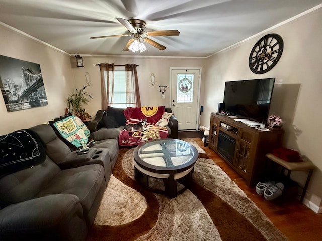 living room featuring crown molding, dark wood-type flooring, and ceiling fan