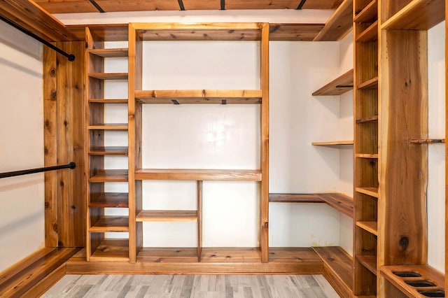 spacious closet with light hardwood / wood-style flooring