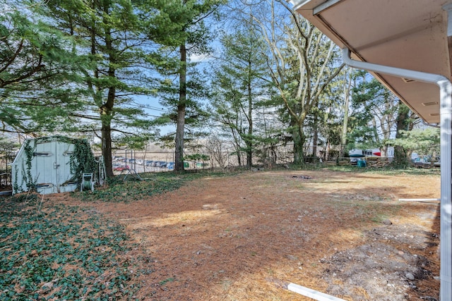 view of yard with a storage shed