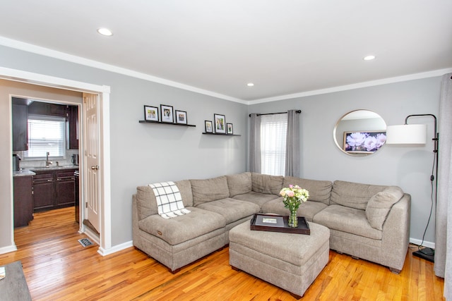 living room featuring sink, crown molding, and light hardwood / wood-style floors