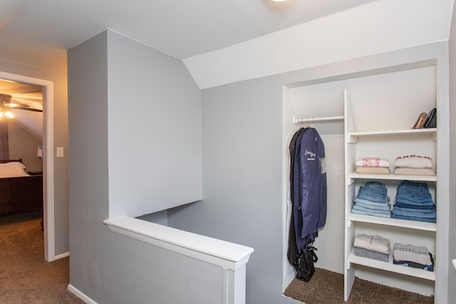 walk in closet featuring dark carpet and vaulted ceiling