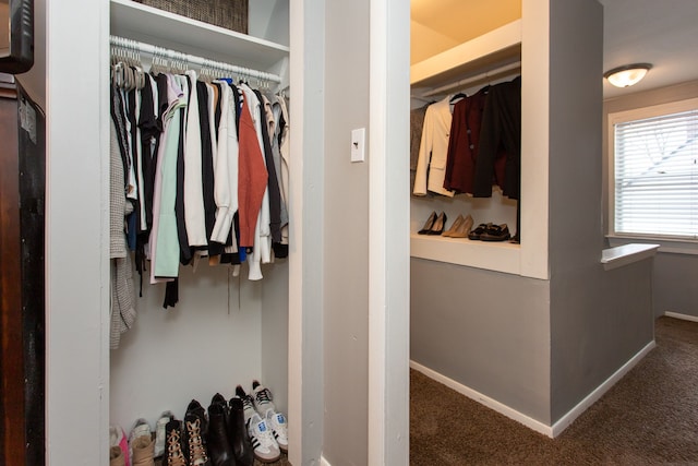 view of closet